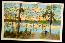 VTG 1931 ROCKINGHAM NC PC A VIEW OF LEDBETTER'S LAKE Teich Archives MINT picture