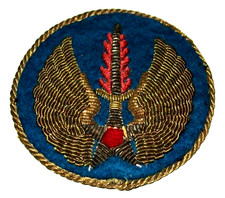 STUNNING ORIGINAL POST WW2 GERMAN MADE BULLION US AIR FORCE EUROPE PATCH picture