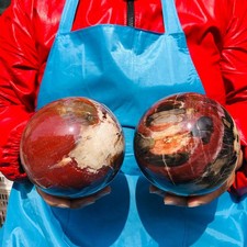 2pcs 6.82LB Natural wood fossil ball healing comes Healing from Madagascar picture