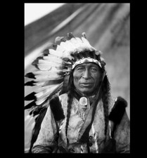 1905 Chief Iron Tail PHOTO Buffalo Nickel, Buffalo Bill Wild West Show Star picture