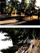 2~Postcards Utica MT Montana CIRCLE BAR GUEST RANCH Horses/Creek JUDITH BASIN CO picture