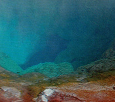 * VTG Card Continental Morning Glory Pool Yellowstone National Park Wyoming WY picture