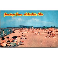 Bathing in Lake Erie At Walnut Beach Ashtabula OH Vintage Postcard SP6-7 picture