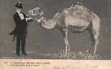 Vintage Postcard 1900's A Camel Can Go Eight Days without Drink Animal picture