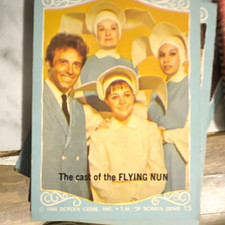 Screen Gems 1968 The Flying Nun Non-Sport Trading Card #15 The Cast picture