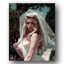 Brigitte Bardot Photo 8x10 Iconic Portrait Glamour Studio Shot picture