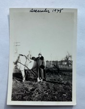 Vtg B&W Snapshot 1928 Photo Woman with Toddler on White Horse Agricultural Scene picture