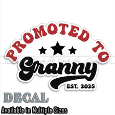 Promoted To Granny  Pregnancy Announcement Decal Sticker picture