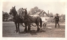 Vintage Photo Team of Horses Farm Life Plowing Field House Painter Rural America picture