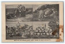 c1910's Section M Crops Are Very Good In Locality Multiview Antique Postcard picture