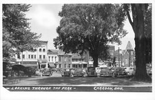 J70/ Chardon Ohio RPPC Postcard c1950s Looking Through Park Stores  331 picture