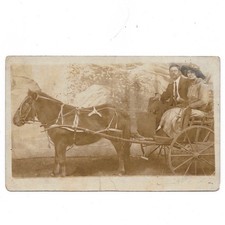 Antique AZO RPPC Real Photo Postcard Horse & Buggy Man Woman Suit Dress Hat picture