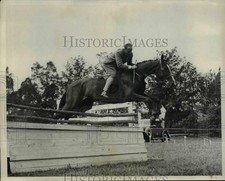 1931 Press Photo Horse Sin Fizz at Smithtown Horse Show St James NY - net20734 picture
