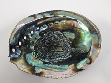 Vintage Abalone Sea Shell Trinket Dish 6
