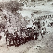 Antique 1901 Boer War Army Travels Up Steep Hill Stereoview Photo Card P3308 picture