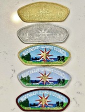 Northeast Illinois Council (NEIC) Friends of Scouting CSPs from 25 Years Ago picture
