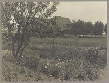 Sagamore Hill Oyster Bay NY Theodore Roosevelt Home Garden Stable c1905 picture
