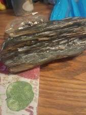 Petrafied Wood picture