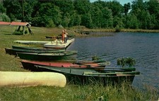 1956 Little Pleasant Three Rivers Michigan Postcard L.L. Cook 17491 Posted picture