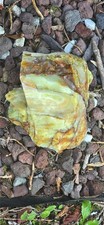 Oregon opal on rhyolite jasper picture