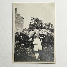 Antique Vintage Snapshot Photograph Adorable Little Girl Field Flowers Outside picture