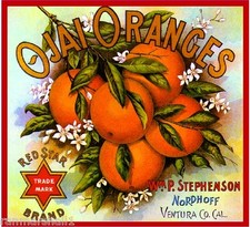 Ojai Nordhoff California Red Star Orange Citrus Fruit Crate Label Art Print picture