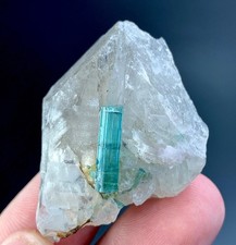 114 Carat Paraiba Tourmaline Crystal With Quartz Specimen From Afghanistan picture