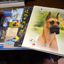 Great Dane Review The Archive Book Lot Vol 1-2 2009-2010 Issues picture