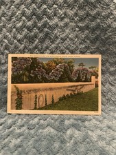 Vintage Linen Postcard 1940S Era Miami Florida picture