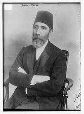 Huseyin Hilmi Pasha,1855-1922,Grand Vizier,Ottoman Empire,Turkish Red Crescent picture
