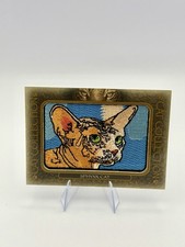 Upper Deck 2020 Goodwin Champions Cat Collection Insert Sphynx Cat FC-3 Card picture