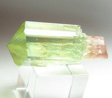 BREATHTAKING CLEAR GEM TOURMALINE CRYSTAL SCEPTER BARRA DO SALINAS BRAZIL  picture