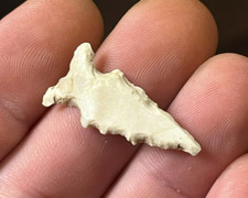 OUTSTANDING REED POINT MISSOURI ARROWHEAD AUTHENTIC INDIAN ARTIFACT B31 picture
