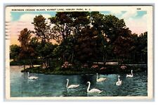 Robinson Crusoe IslSunset Lake Asbury Park NJ Swans c1925 Vintage Postcard picture