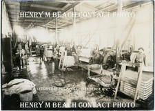 1900s Photo McKeever New York Pulp Mill Interior Henry M Beach 5x7 Contact Print picture