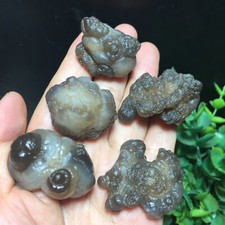 107g 5pcs Natural Bonsai Suiseki-Natural Gobi Agate Eyes Stone-Rare Stunning 329 picture